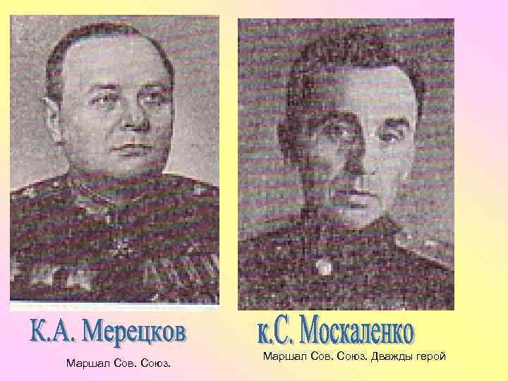 Маршал Сов. Союз. Дважды герой 