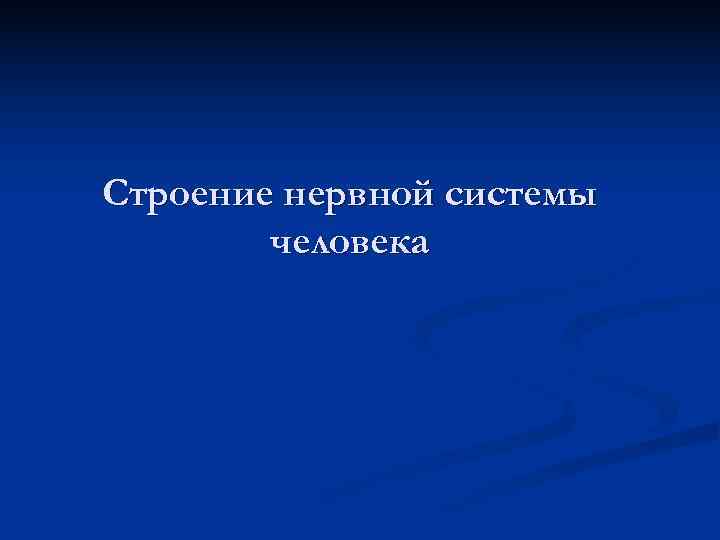 Строение нервной системы   человека 
