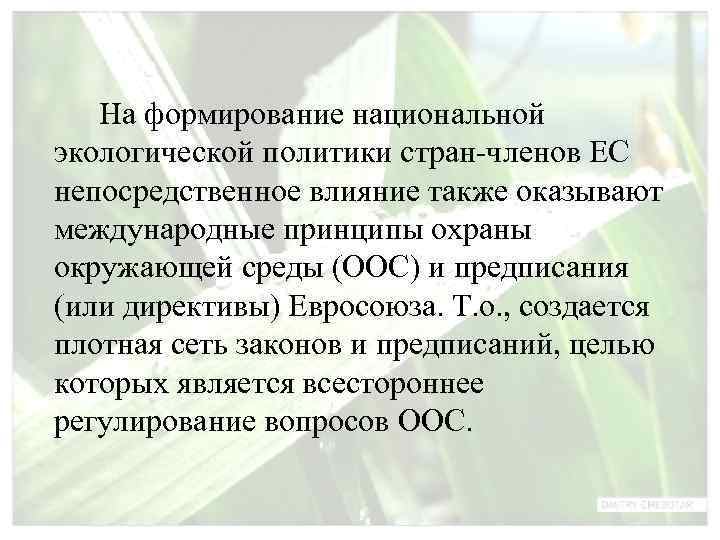   На формирование национальной экологической политики стран членов ЕС непосредственное влияние также оказывают
