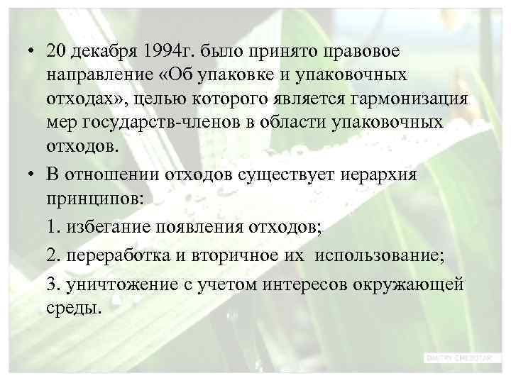  • 20 декабря 1994 г. было принято правовое  направление «Об упаковке и