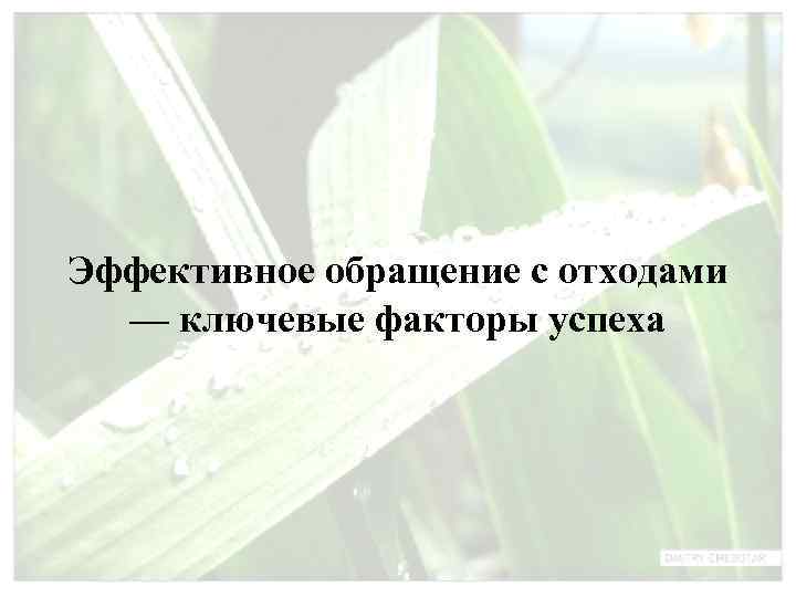 Эффективное обращение с отходами  — ключевые факторы успеха 