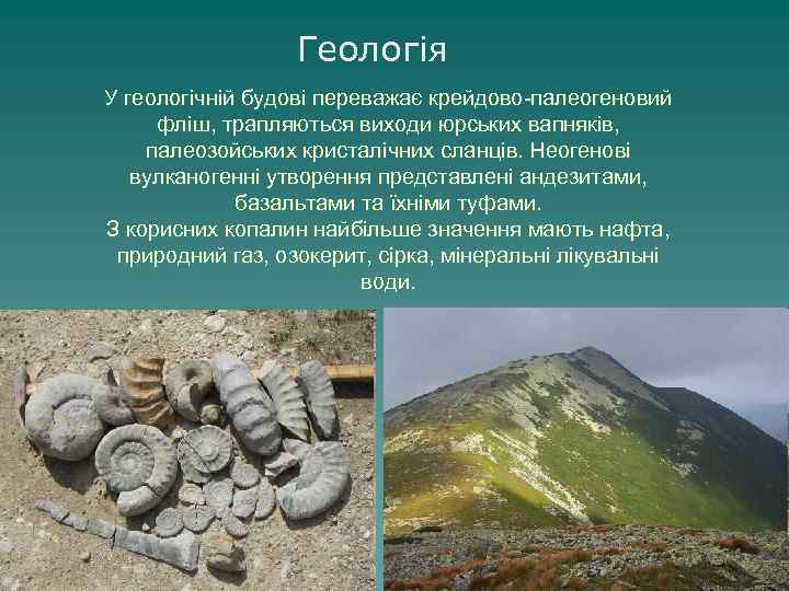    Геологія У геологічній будові переважає крейдово-палеогеновий фліш, трапляються виходи юрських вапняків,