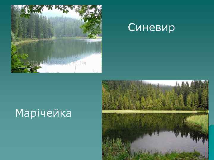   Синевир Марічейка 