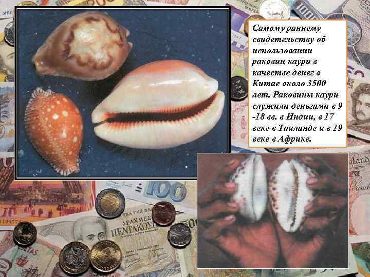 Самому раннему свидетельству об использовании раковин каури в качестве денег в Китае около 3500