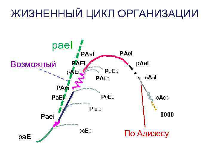 ЖИЗНЕННЫЙ ЦИКЛ ОРГАНИЗАЦИИ pae. I PAe. I Возможный ЖИЗНЕННЫЙ ЦИКЛ ОРГАНИЗАЦИИ pae. I PAe. I Возможный