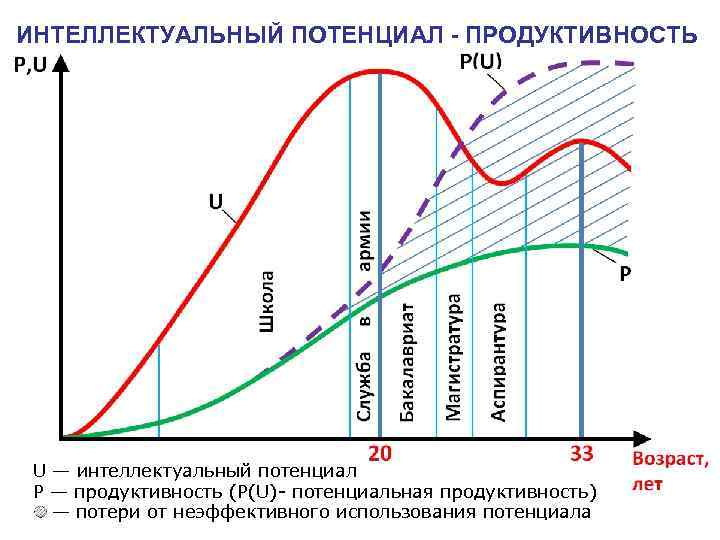 ИНТЕЛЛЕКТУАЛЬНЫЙ ПОТЕНЦИАЛ - ПРОДУКТИВНОСТЬ U — интеллектуальный потенциал P — продуктивность (P(U)- потенциальная продуктивность) ИНТЕЛЛЕКТУАЛЬНЫЙ ПОТЕНЦИАЛ - ПРОДУКТИВНОСТЬ U — интеллектуальный потенциал P — продуктивность (P(U)- потенциальная продуктивность)