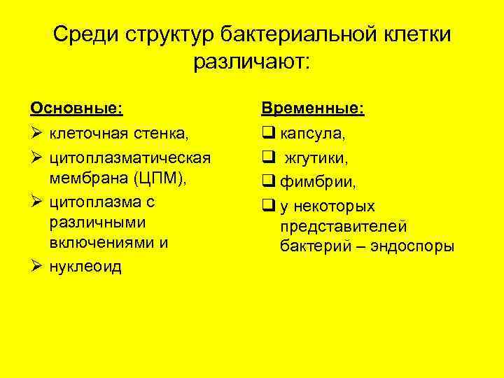  Среди структур бактериальной клетки    различают:  Основные:   