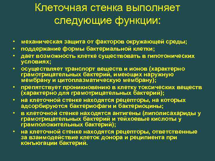  Клеточная стенка выполняет   следующие функции:  • механическая защита от факторов