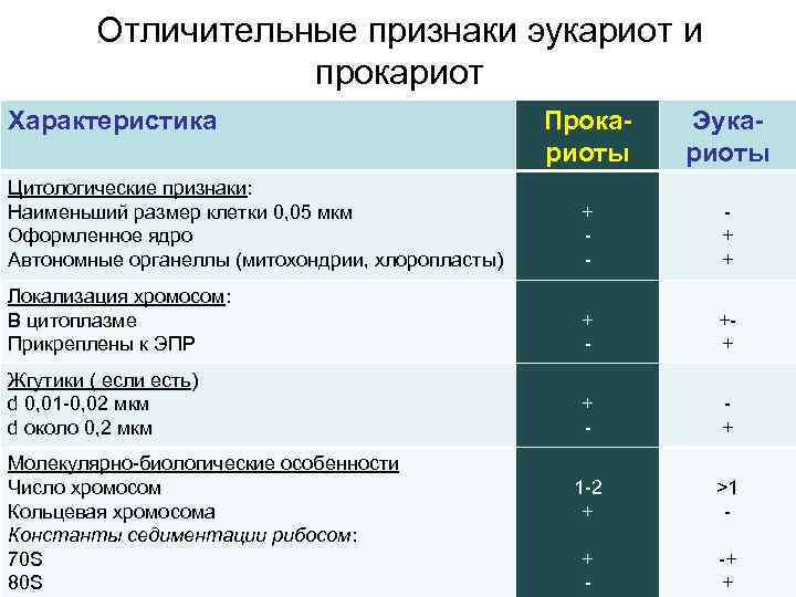    Отличительные признаки эукариот и     прокариот Характеристика 