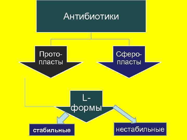   Антибиотики  Прото-   Сферо- пласты   L- 