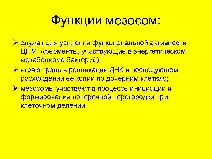    Функции мезосом: Ø служат для усиления функциональной активности  ЦПМ (ферменты,