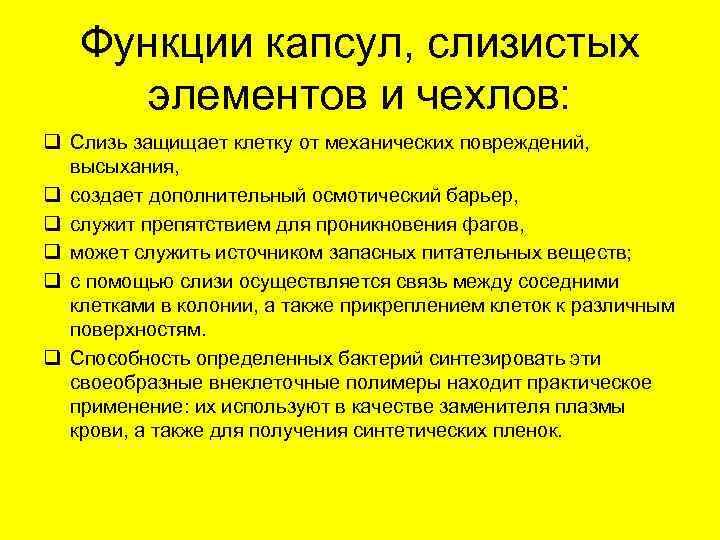   Функции капсул, слизистых  элементов и чехлов: q Слизь защищает клетку от