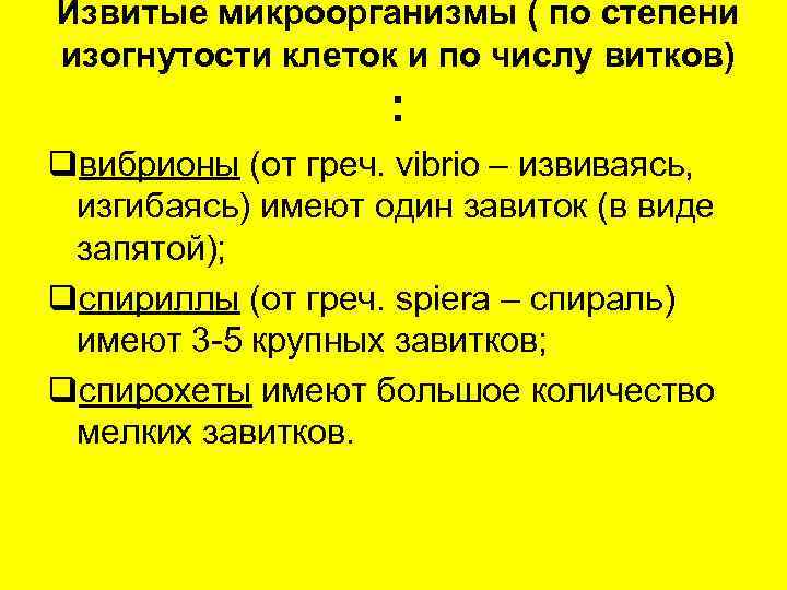 Извитые микроорганизмы ( по степени изогнутости клеток и по числу витков)   