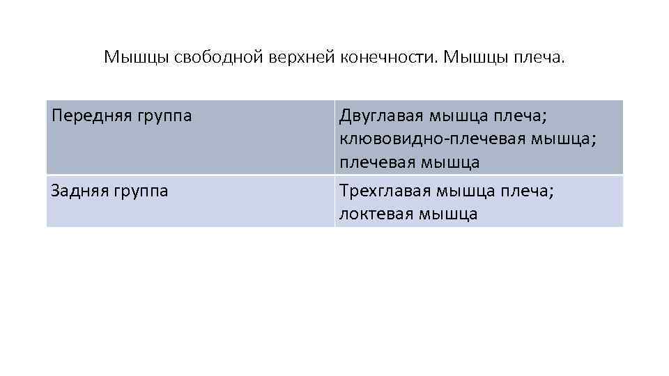  Мышцы свободной верхней конечности. Мышцы плеча.  Передняя группа   Двуглавая мышца