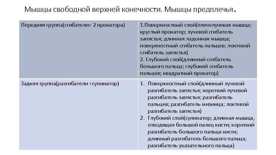  Мышцы свободной верхней конечности. Мышцы предплечья. Передняя группа(сгибатели+ 2 пронатора)  1. Поверхностный