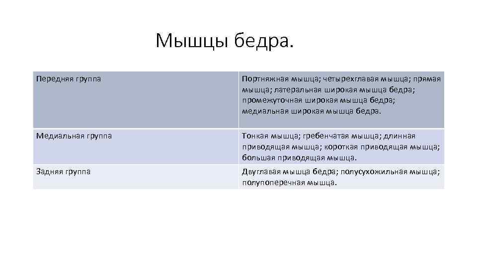     Мышцы бедра. Передняя группа  Портняжная мышца; четырехглавая мышца; прямая