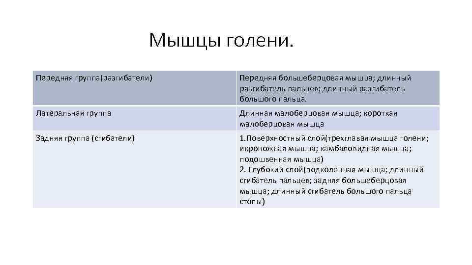       Мышцы голени. Передняя группа(разгибатели)  Передняя большеберцовая мышца;