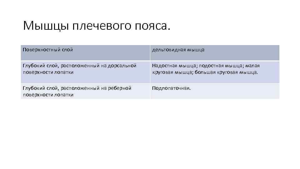 Мышцы плечевого пояса. Поверхностный слой      дельтовидная мышца Глубокий слой,
