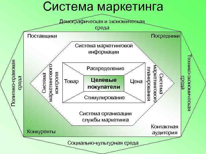      Система маркетинга    Демографическая и экономическая 