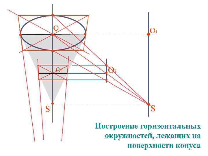 Построение горизонтальных  окружностей, лежащих на   поверхности конуса 
