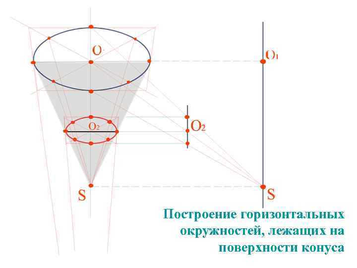 Построение горизонтальных  окружностей, лежащих на   поверхности конуса 