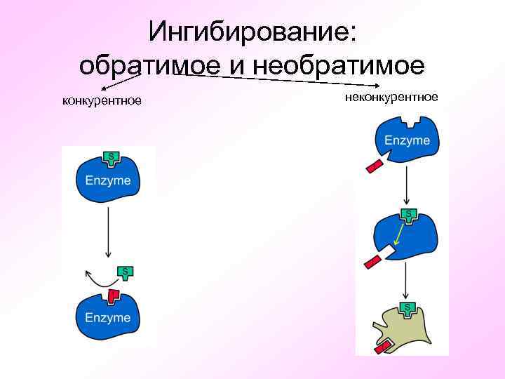 Ингибирование: обратимое и необратимое конкурентное неконкурентное 