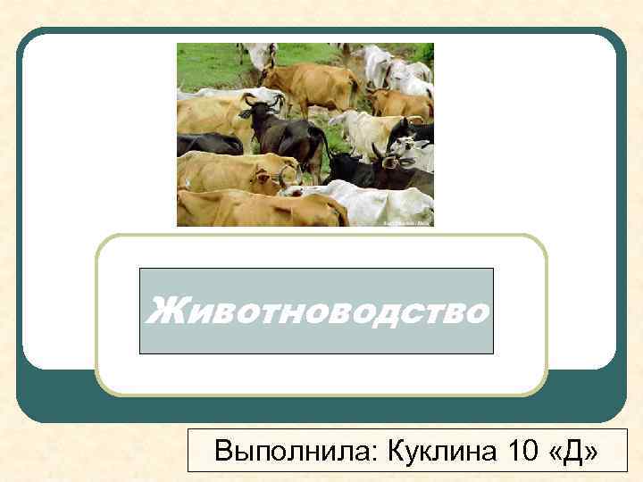 Животноводство Выполнила: Куклина 10 «Д» 