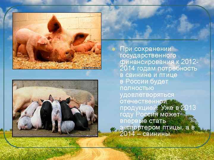 l  При сохранении государственного финансирования к 2012 - 2014 годам потребность в свинине