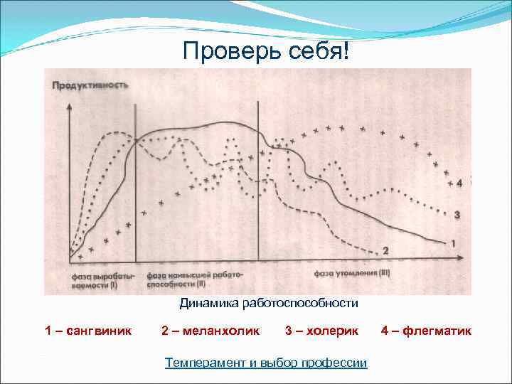     Проверь себя!    Динамика работоспособности 1 – сангвиник