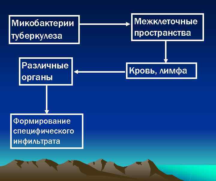 Микобактерии Межклеточные туберкулеза  пространства  Различные   Кровь, лимфа органы  Формирование