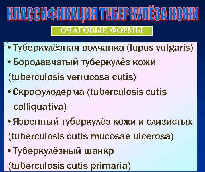   ОЧАГОВЫЕ ФОРМЫ  • Туберкулёзная волчанка (lupus vulgaris) • Бородавчатый туберкулёз кожи