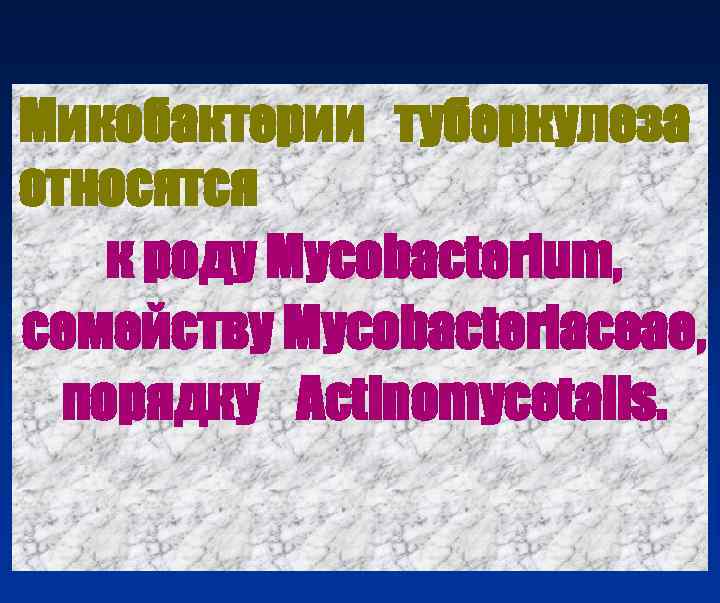 Микобактерии туберкулеза относятся к роду Mycobacterium, семейству Мycobacteriaceae,  порядку Actinomycetalis. 