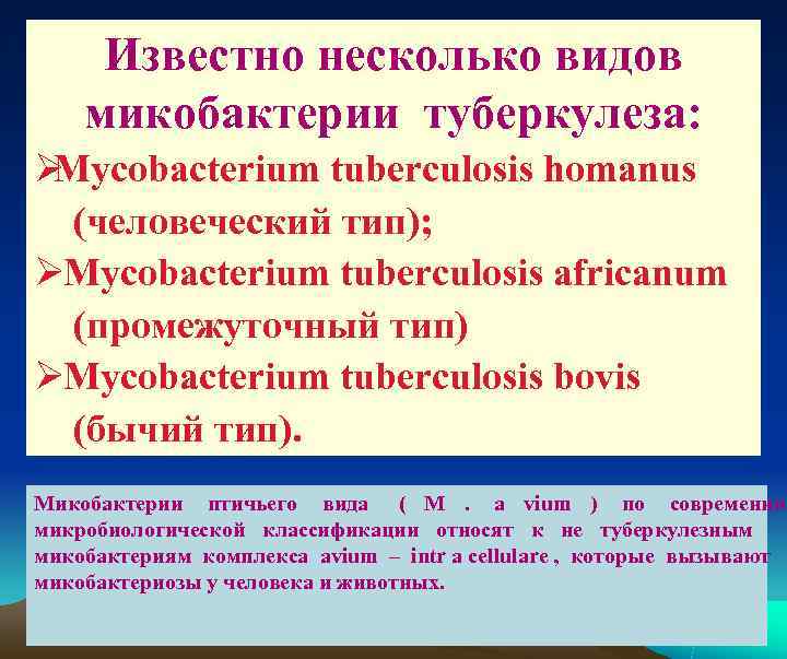  Известно несколько видов микобактерии туберкулеза: Ø Mycobacterium tuberculosis homanus  (человеческий тип); Ø
