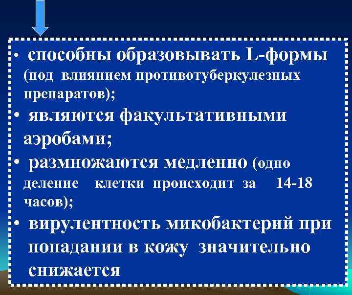  •  способны образовывать L-формы  (под влиянием противотуберкулезных  препаратов);  •