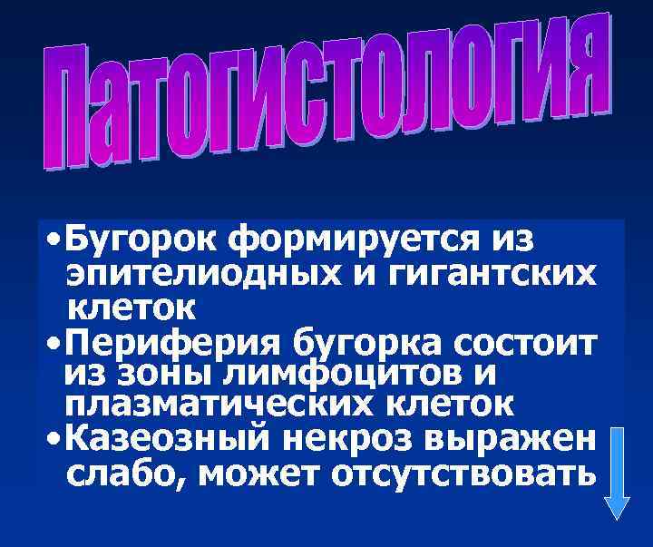  • Бугорок формируется из  эпителиодных и гигантских  клеток • Периферия бугорка
