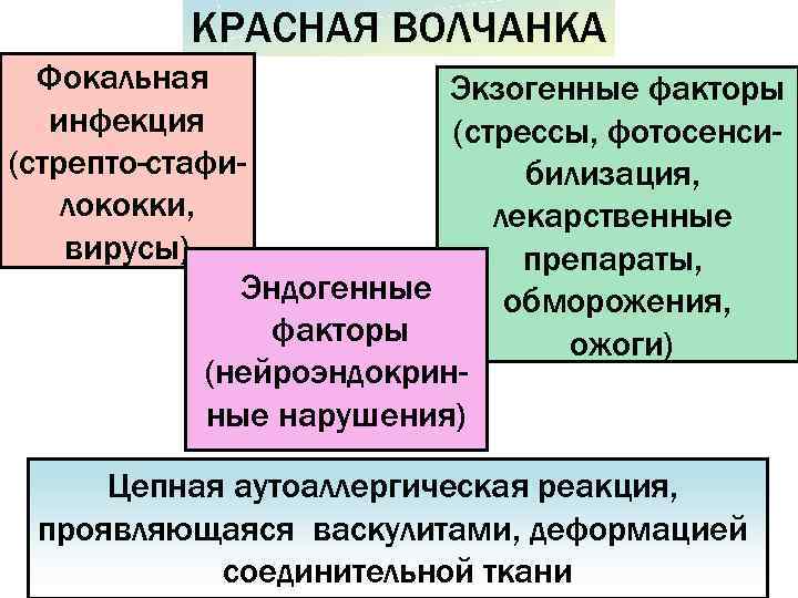   КРАСНАЯ ВОЛЧАНКА  Фокальная    Экзогенные факторы  инфекция 