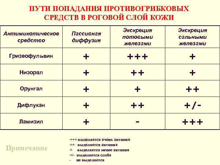   ПУТИ ПОПАДАНИЯ ПРОТИВОГРИБКОВЫХ  СРЕДСТВ В РОГОВОЙ СЛОЙ КОЖИ   
