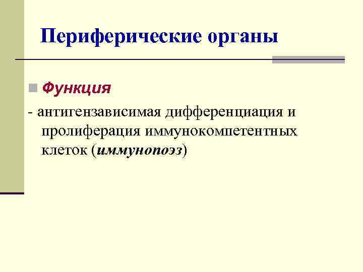  Периферические органы n Функция - антигензависимая дифференциация и  пролиферация иммунокомпетентных  клеток