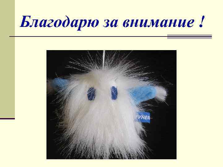 Благодарю за внимание ! 