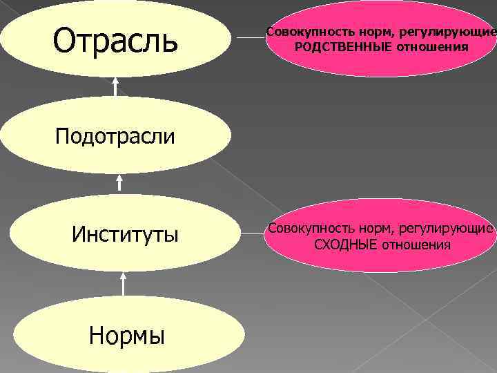 Отрасль Совокупность норм, регулирующие   РОДСТВЕННЫЕ отношения Подотрасли   Совокупность норм, регулирующие