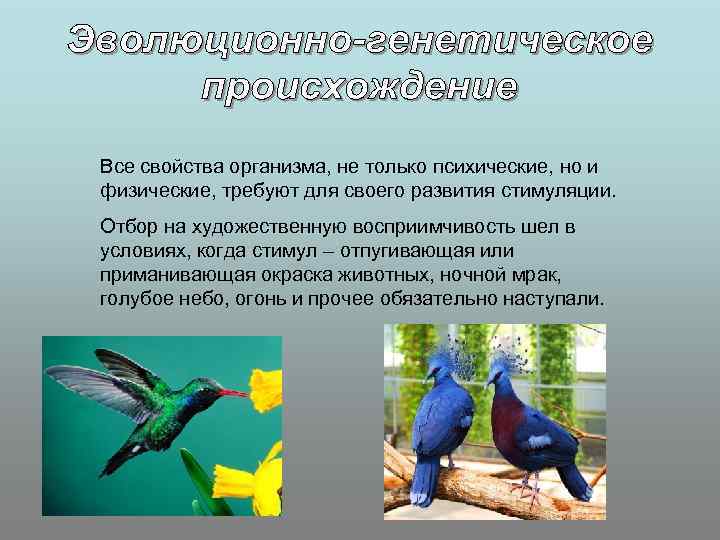 Все свойства организма, не только психические, но и физические, требуют для своего развития стимуляции.