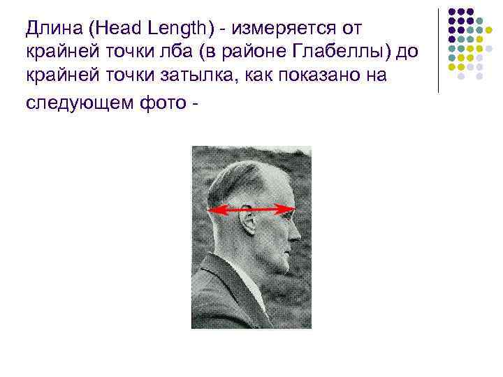 Длина (Head Length)  измеряется от крайней точки лба (в районе Глабеллы) до крайней