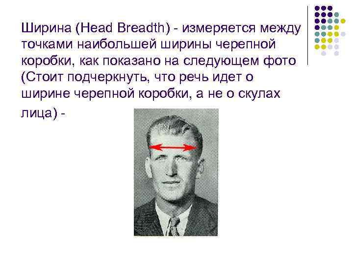 Ширина (Head Breadth)  измеряется между точками наибольшей ширины черепной коробки, как показано на