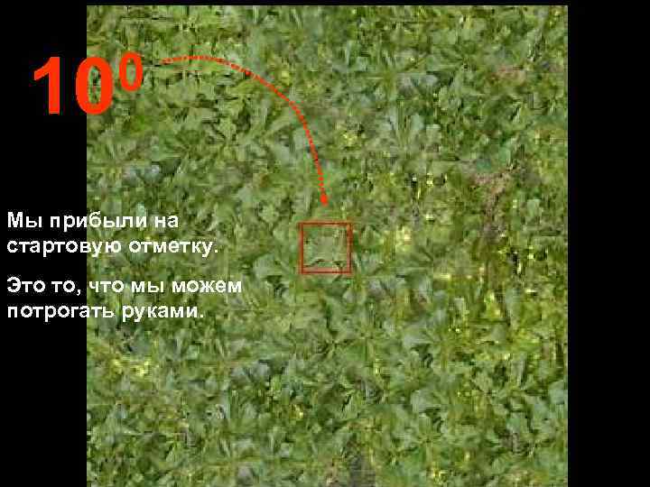  10 0 Мы прибыли на стартовую отметку. Это то, что мы можем потрогать
