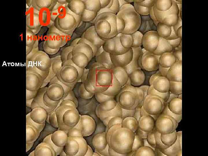  10 -9 1 нанометр Атомы ДНК. 