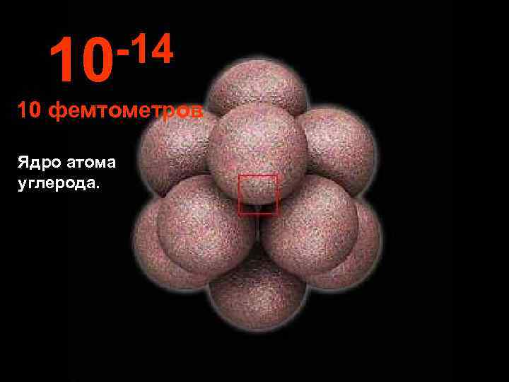 10 -14 10 фемтометров Ядро атома углерода. 