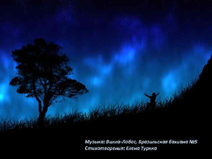 Музыка: Вилла-Лобос, Бразильская бахиана № 5 Стихотворения: Елена Туркка 