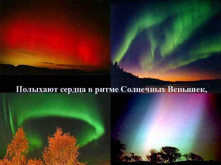 Полыхают сердца в ритме Солнечных Вспышек, 
