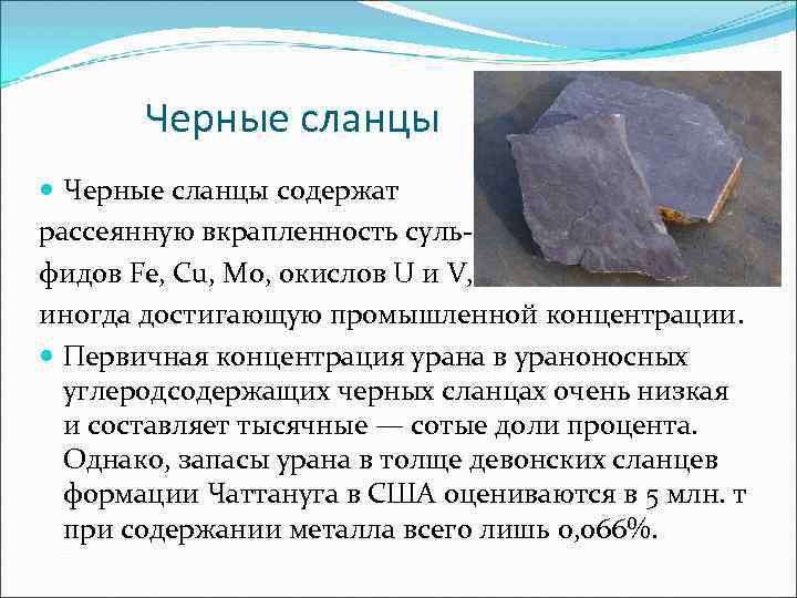  Черные сланцы содержат рассеянную вкрапленность суль- фидов Fe, Cu, Mo, окислов U