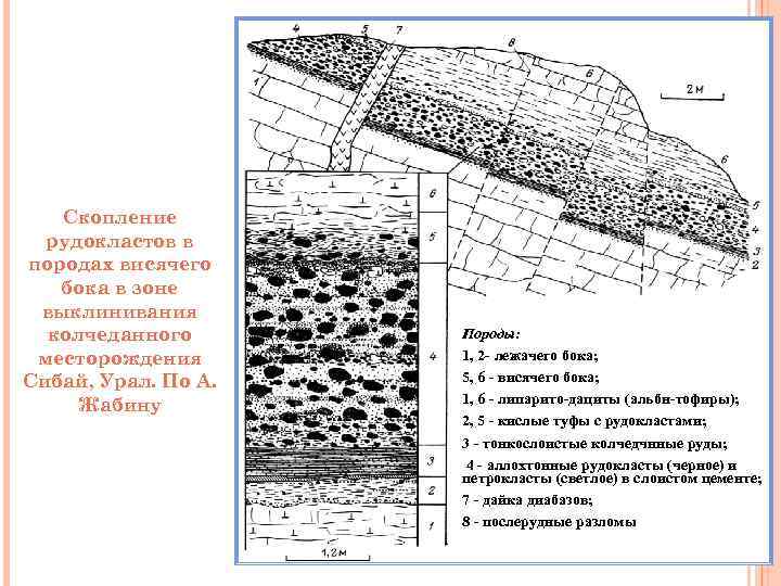 Скопление рудокластов в породах висячего бока в зоне выклинивания Скопление рудокластов в породах висячего бока в зоне выклинивания